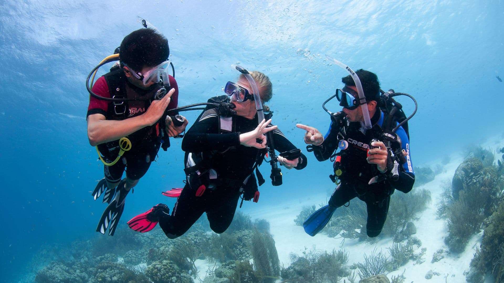 Curso Divemaster - Outubro